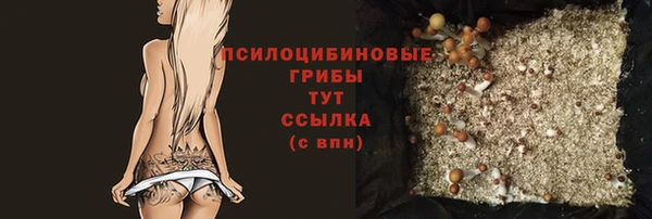 прущие крисы Аркадак
