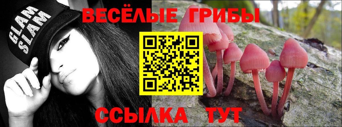 Псилоцибиновые грибы Psilocybe Нефтекумск