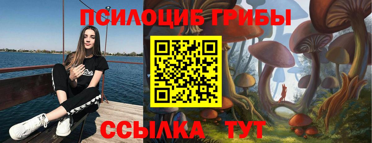 Псилоцибиновые грибы ЛСД  Вход с VPN  Нефтекумск 